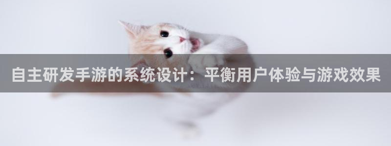 28大神吧怎么进不去了：自主研发手游的系统设计：平衡用户体验
