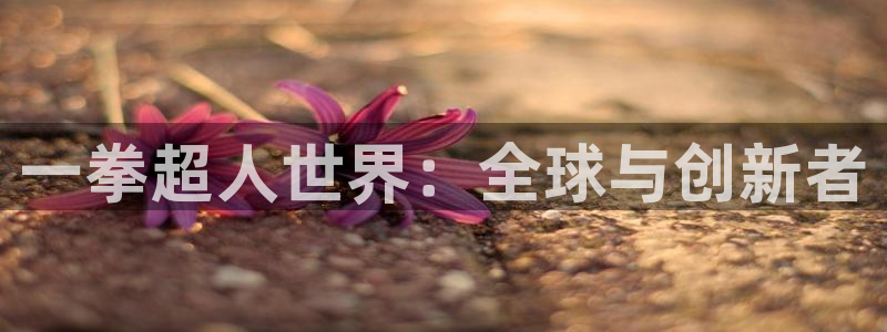 大神28开奖查询：一拳超人世界：全球与创新者