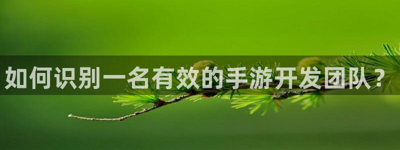 大神28杀组合：如何识别一名有效的手游开发团队？