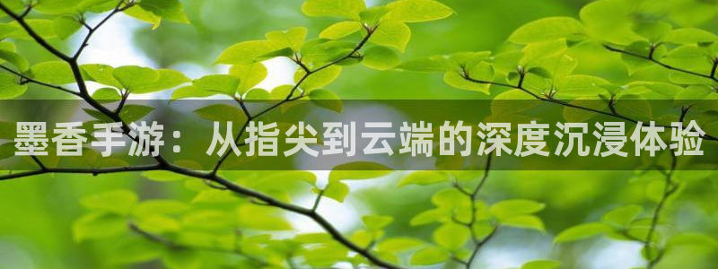 大神网pc28：墨香手游：从指尖到云端的深度沉浸体验