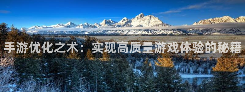 28大神开奖查询结果：手游优化之术：实现高质量游戏体验的秘籍