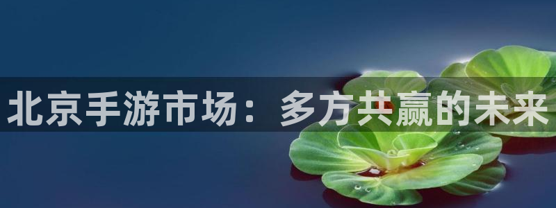 28大神怎么下载不了：北京手游市场：多方共赢的未来