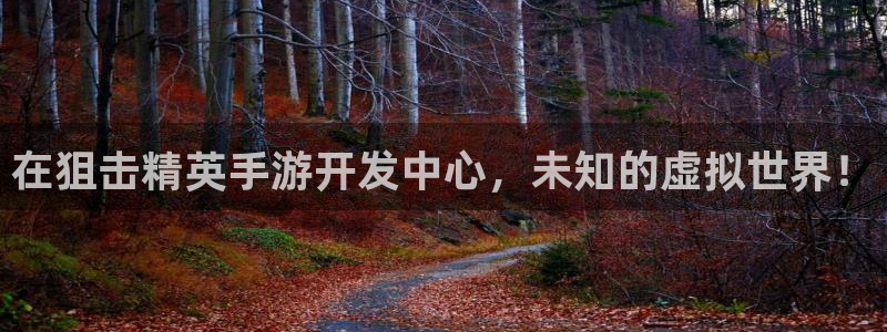 大神28老版本的使用方法及注意事项