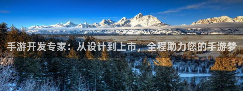 大神28助手：手游开发专家：从设计到上市，全程助力您的手游梦