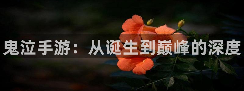 28大神预测软件北京：鬼泣手游：从诞生到巅峰的深度