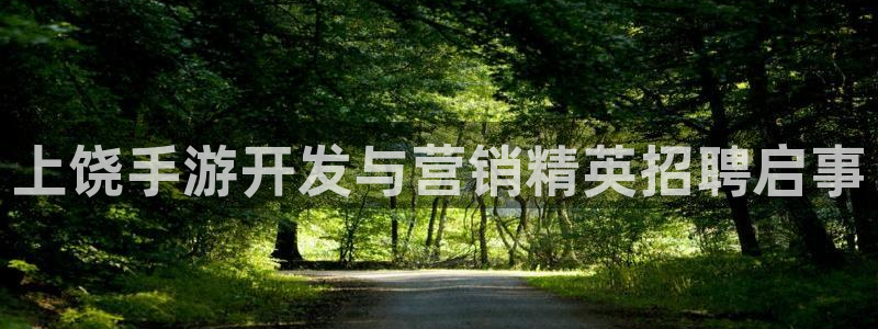 28加拿大大神下载：上饶手游开发与营销精英招聘启事