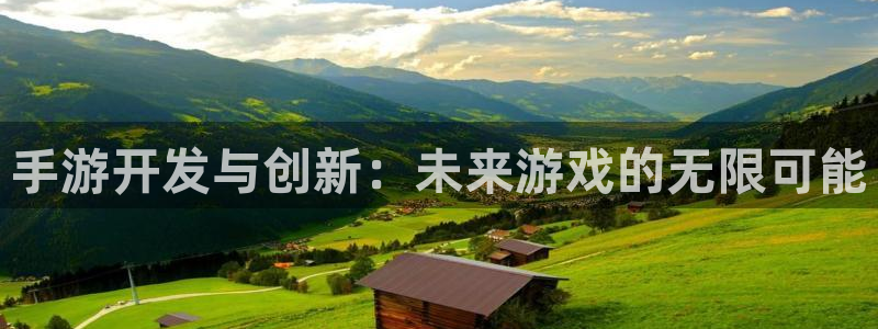 大神28历史：手游开发与创新：未来游戏的无限可能