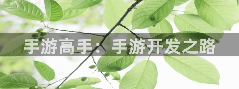 大神28手机版：手游高手：手游开发之路