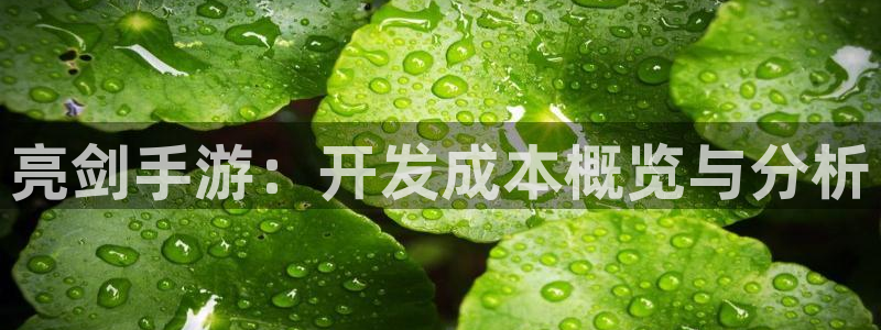 28大神app苹果下载链接：亮剑手游：开发成本概览与分析