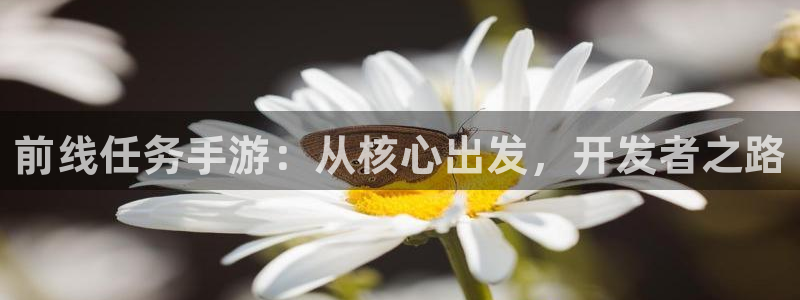 大神28app最新版：前线任务手游：从核心出发，开发者之路