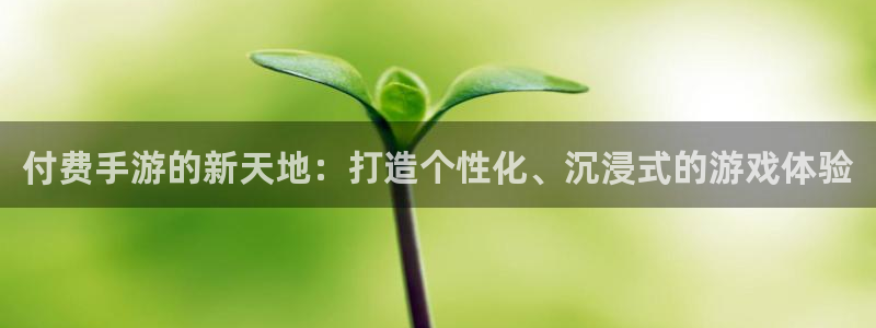 大神pc28在线预测：付费手游的新天地：打造个性化、沉浸式的