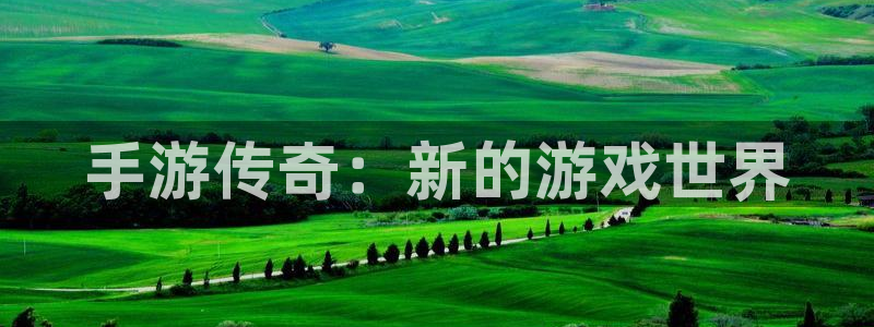 28大神下载苹果：手游传奇：新的游戏世界