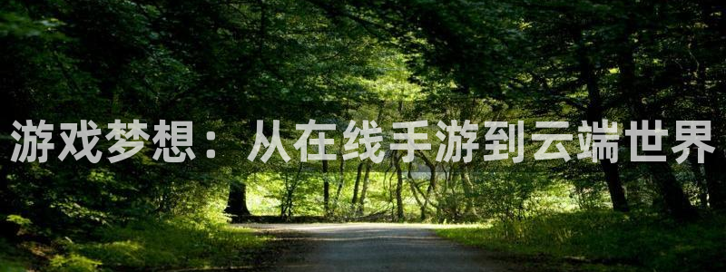 大神28开奖历史：游戏梦想：从在线手游到云端世界