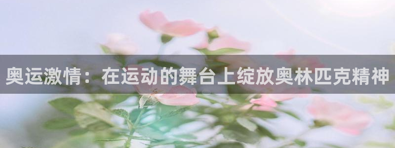 xc体育app官方网站