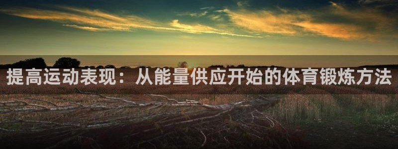 xc体育