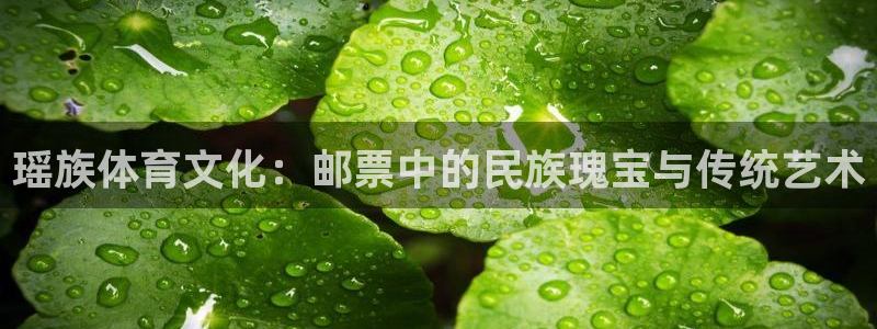 xc体育