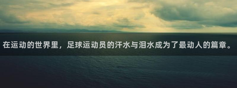 xc体育