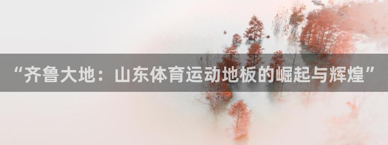 xc体育：“齐鲁大地：山东体育运动地板的崛起与辉煌”
